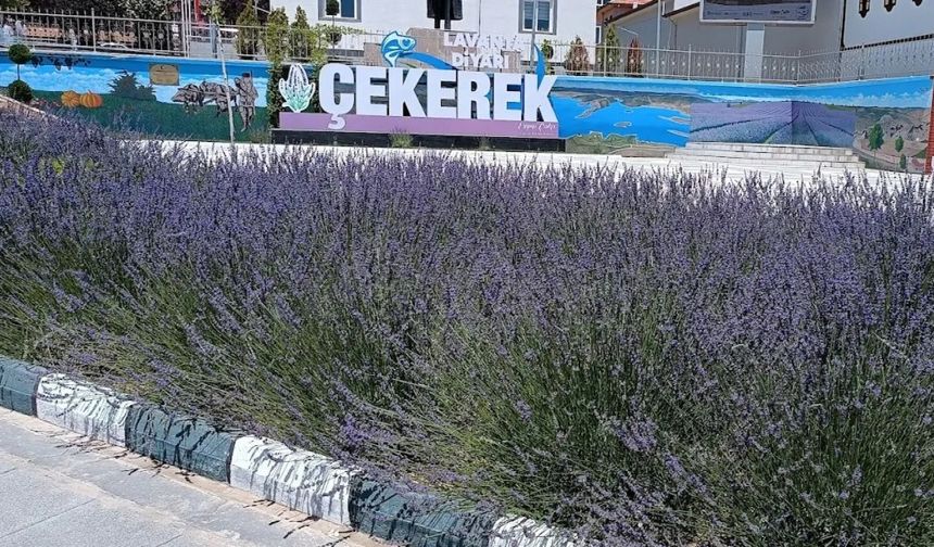 Yozgat'ta 20,5 Milyonluk Dev Bütçe Nasıl Harcandı? Çekerek Yatırımları Gündemde!