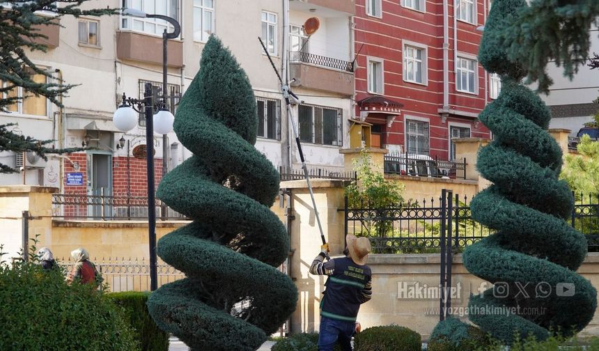 Yozgat Lise Caddesi’nde Ağaç Budama Mesaisi Sürüyor