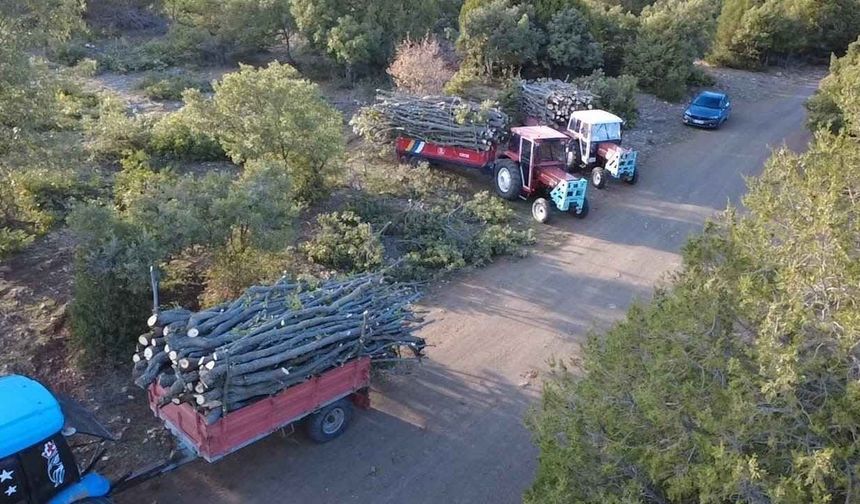 Yozgat'ta İmece Usulü Kışlık Odun İhtiyacı Karşılanıyor
