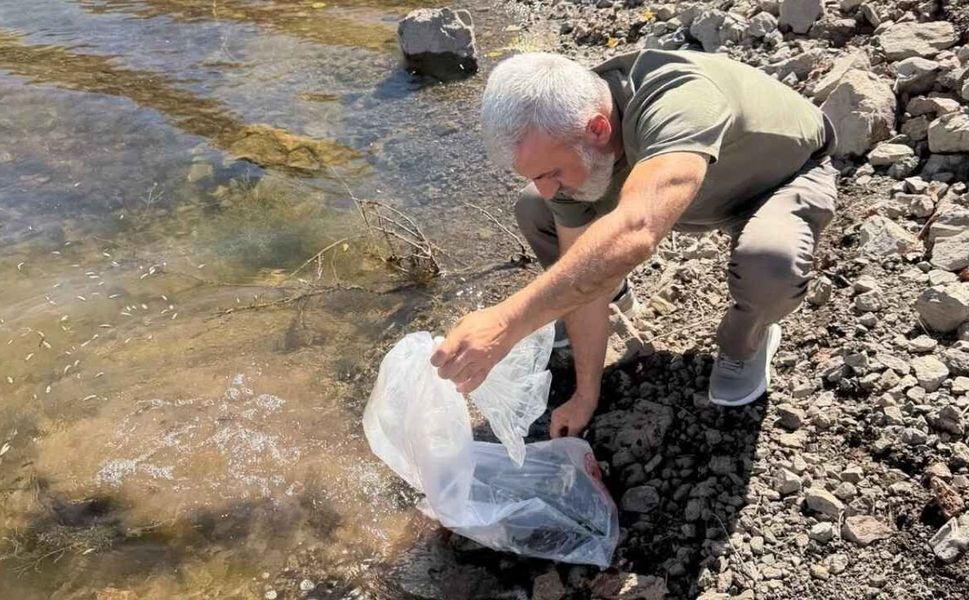 Sorgun Göletlerine 150 Bin Yavru Balık Bırakıldı