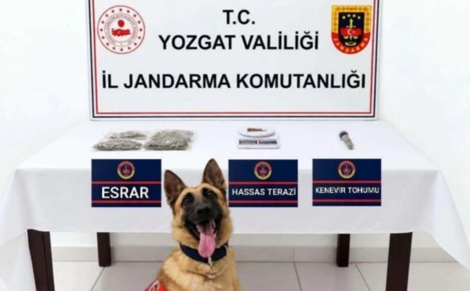 Sorgun’da Uyuşturucu Operasyonu: 1 Şüpheli Gözaltına Alındı