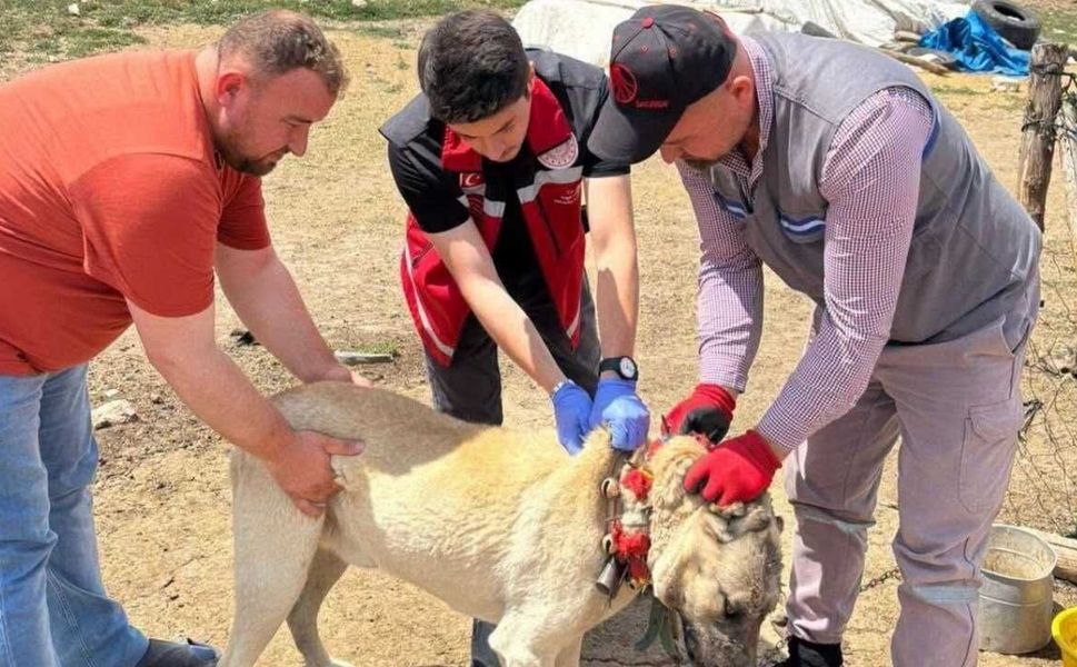 Yozgat Valiliğinden Sert Uyarı: Bu Şartı Yerine Getirmeyene Ağır Fatura!