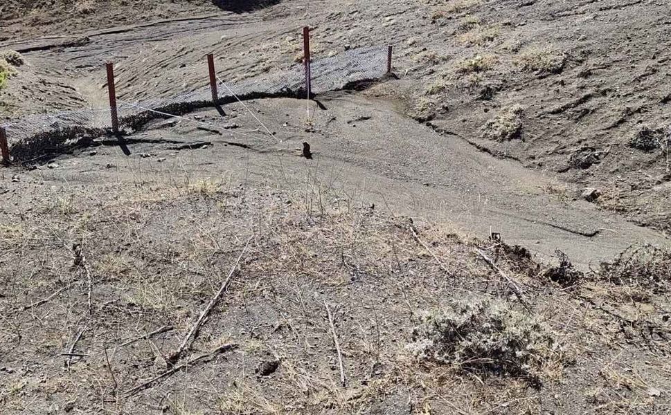 Yozgat’ta 65 Hektarlık Alanda Erozyonla Mücadele: Çalışmalar Meyvelerini Verdi