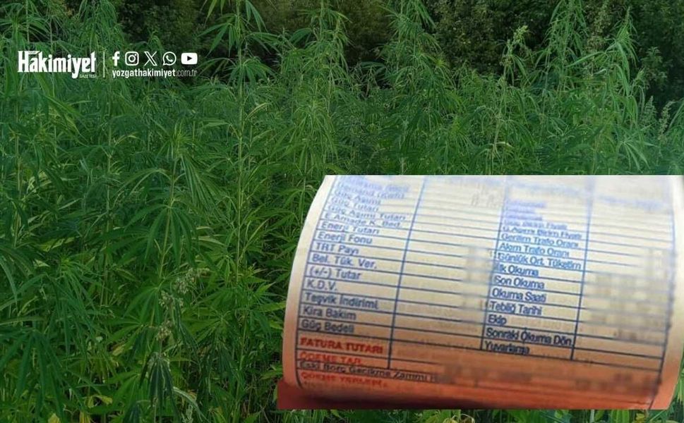 Elektrik Faturası Yüksek Gelenler Dikkat! Bu 4 Detayı Mutlaka Kontrol Edin