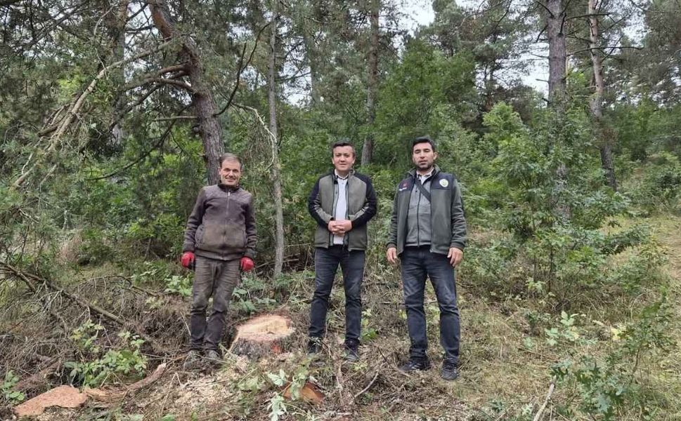 Yozgat'ta Ormanlar Mercek Altında
