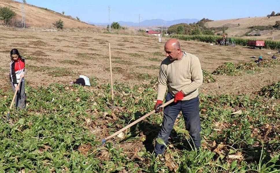 Yozgat’ta Pancar Sezonu Başladı: Çiftçiye Lojistik Destek
