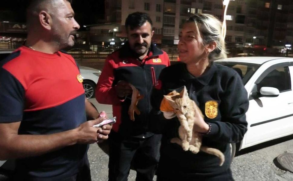 Otomobilinden Kedi Sesi Geldi! Kaputu Açınca Gördükleri Karşısında Şaşkına Döndü