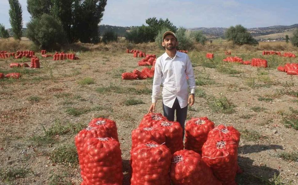 Yozgat’ta Soğan Üreticilerine Umut Olan Çalışma!