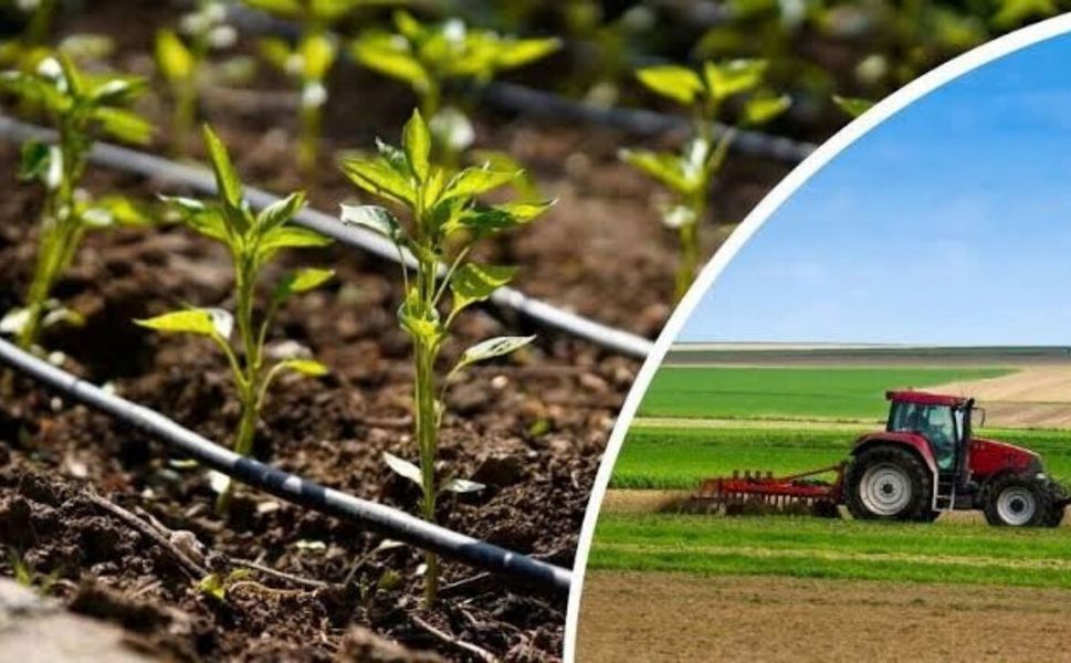 Zirai İlaçta 1 Temmuz Düzenlemesi Çiftçiyi ve Bayiyi Çıkmaza Soktu