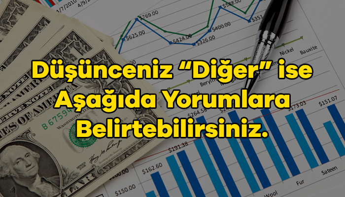 Diğer (Lütfen belirtin)