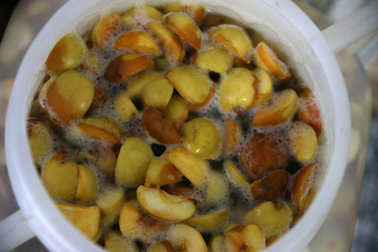 009 2023 05 2023 12 Agustos 20 20230830 2 60063566 92302209