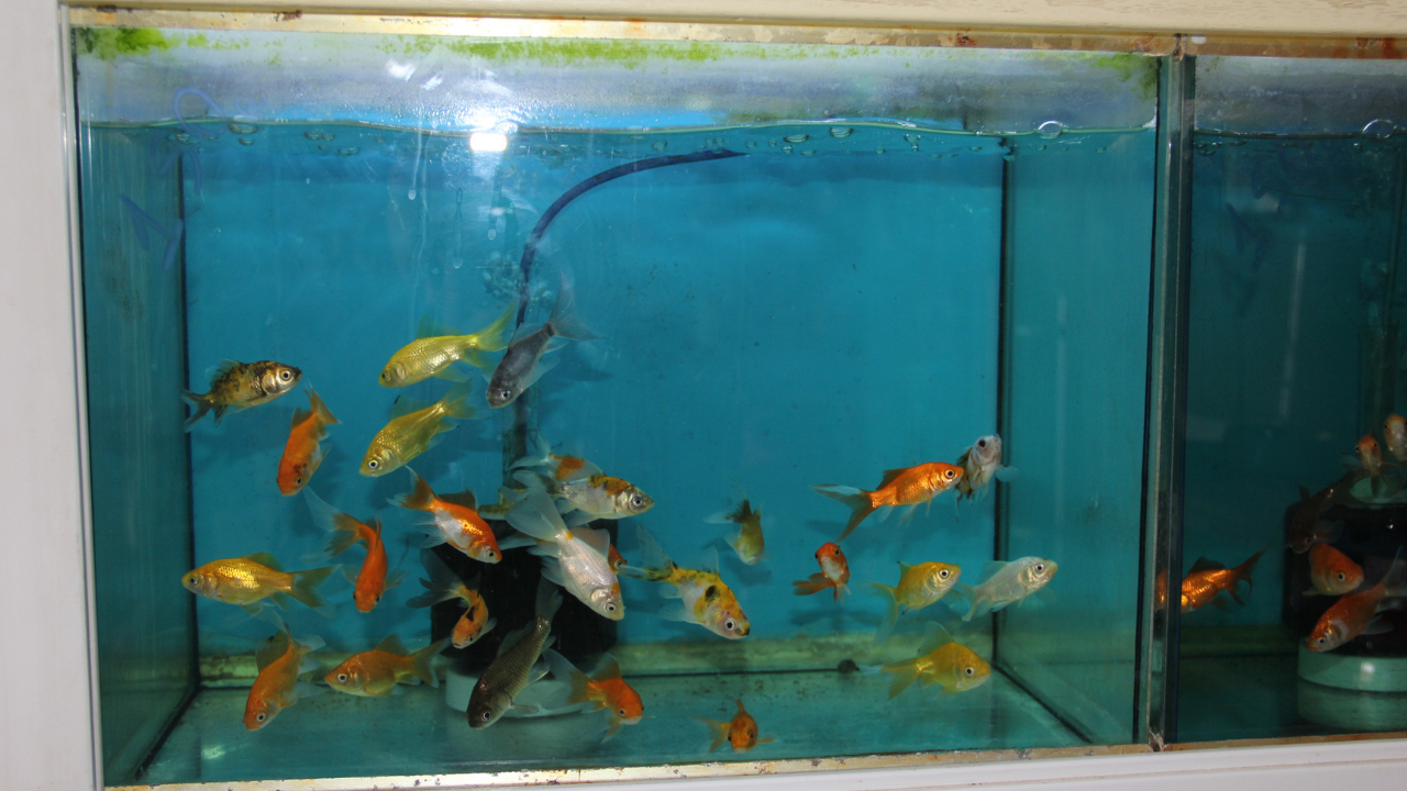 Adsız Tasarım (10)-8