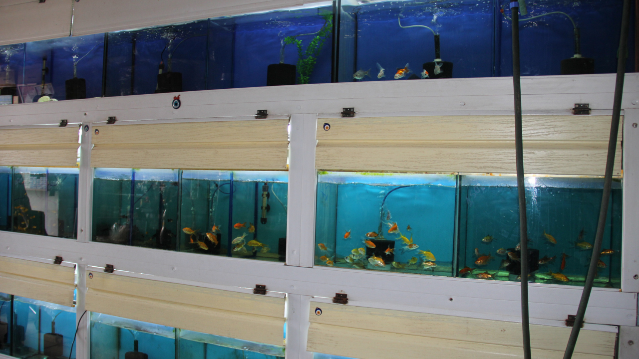 Adsız Tasarım (9)-8