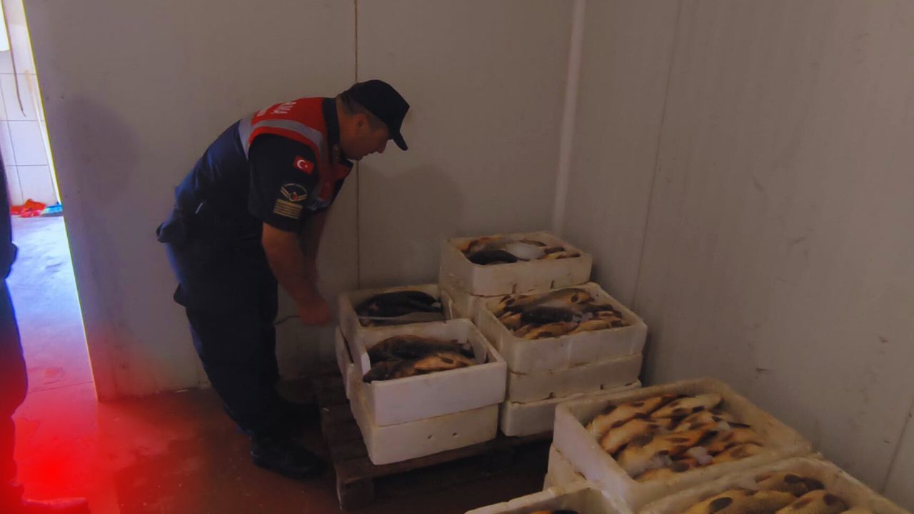 Balık Denetim (1)-1