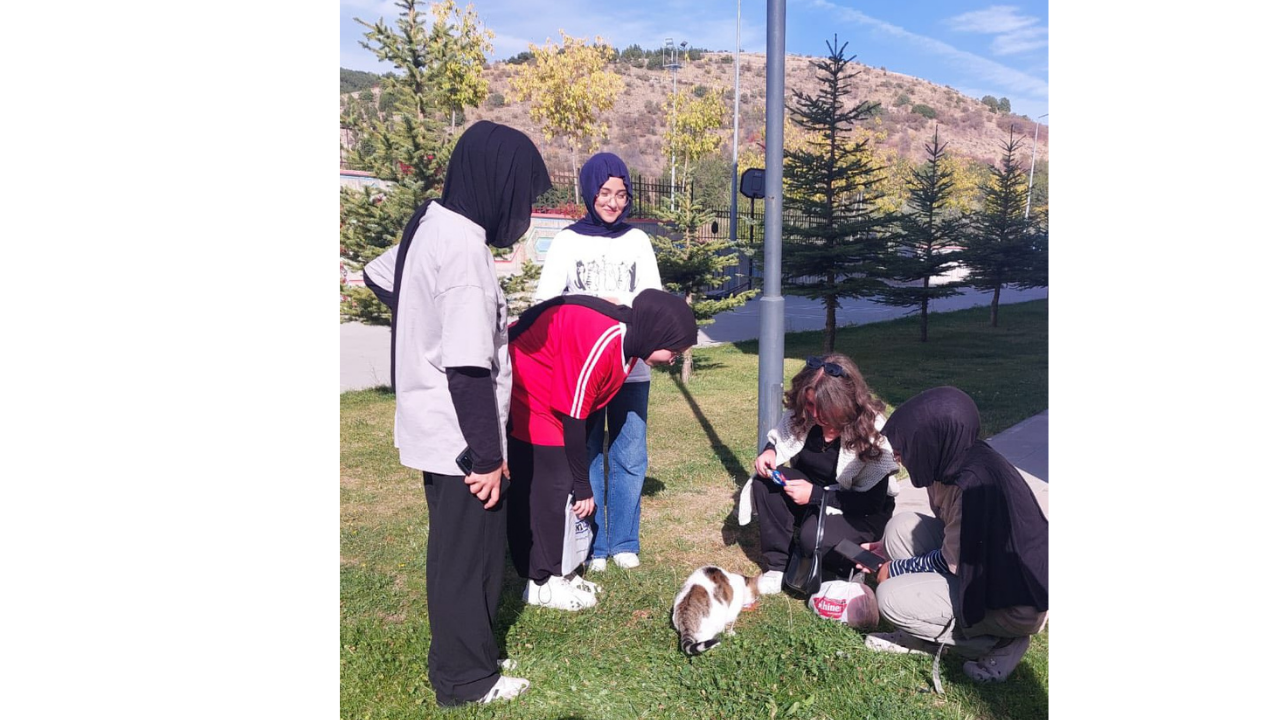 Hem Gençlere Eğitim Hem Can Dostlara Yaşam Desteği (2)