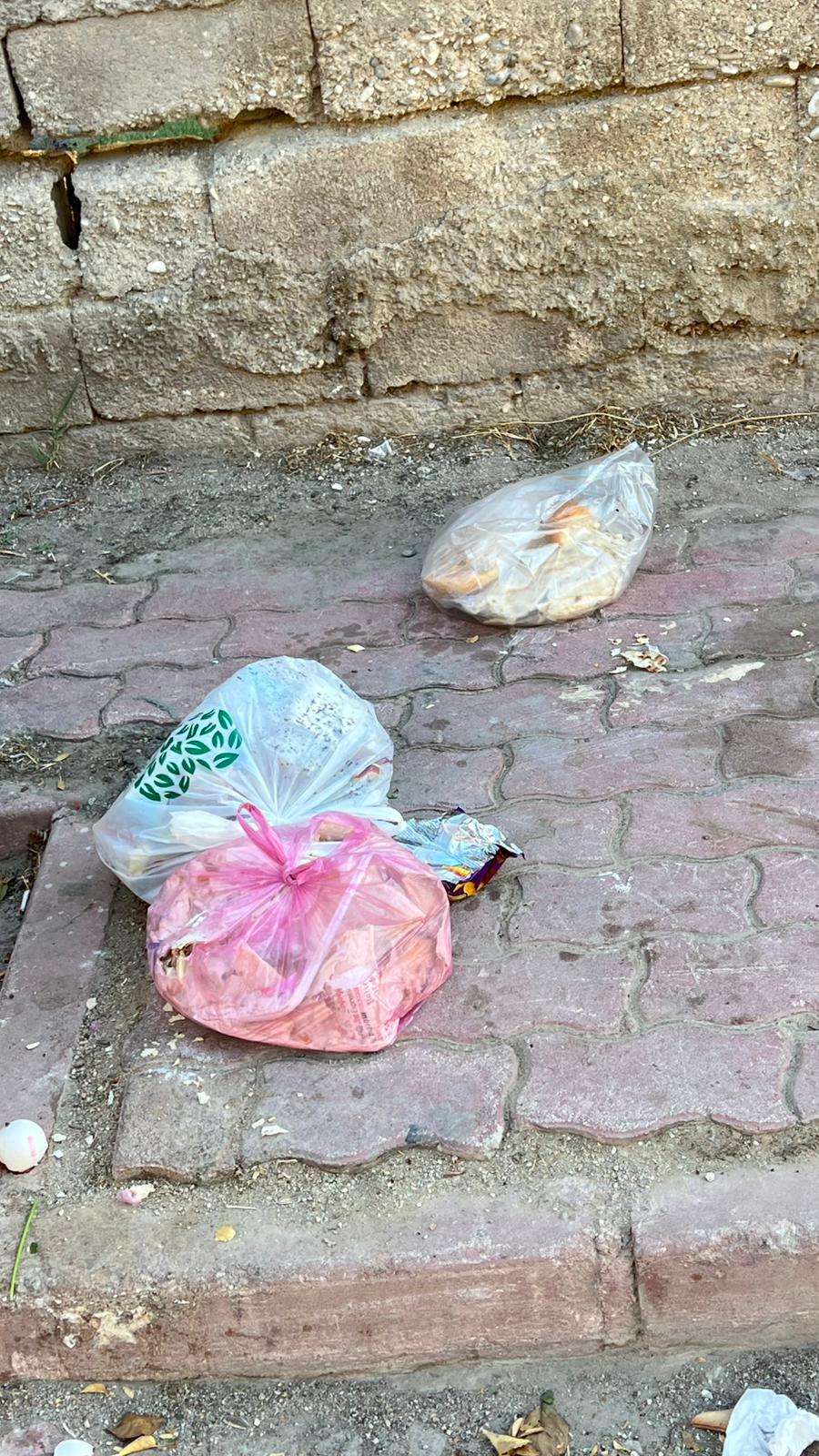 “İsraf, Gelecek Nesillere Yapılmış En Büyük Saygısızlıktır”1