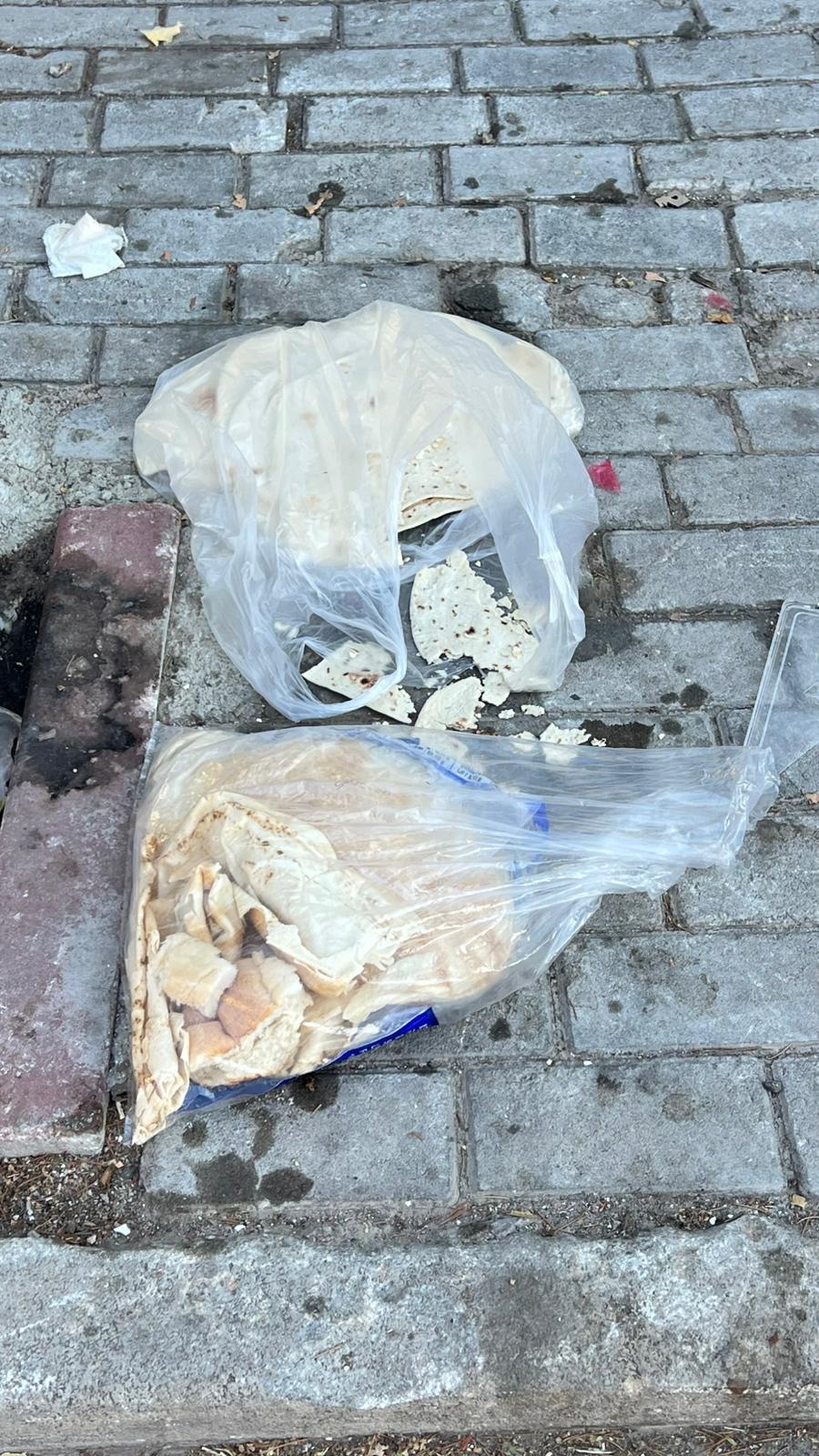 “İsraf, Gelecek Nesillere Yapılmış En Büyük Saygısızlıktır”4