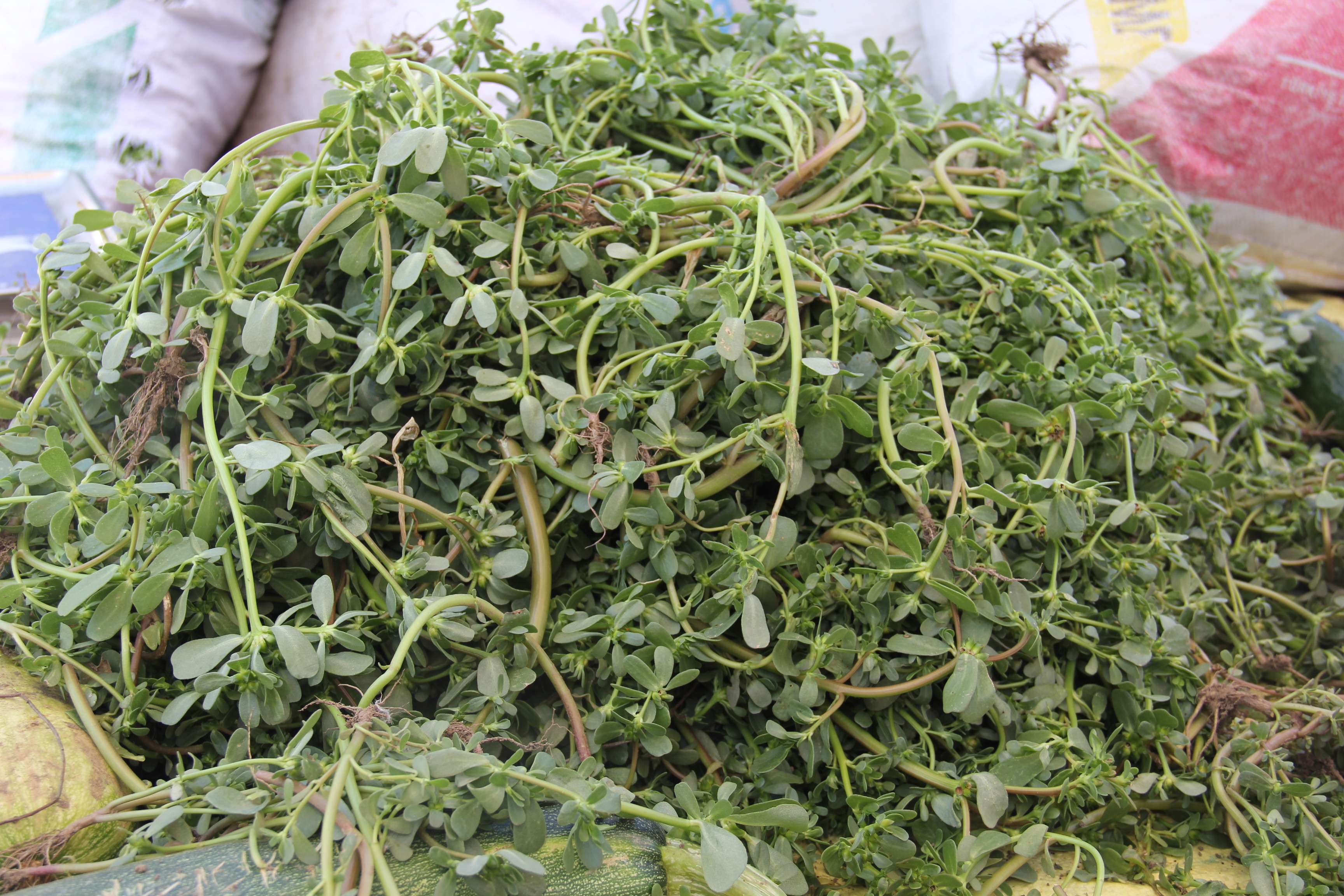 Makyajdan Vazgeçiren Şifa (3)