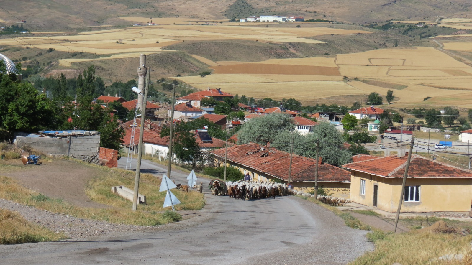 Sarıkaya Türkiye’de Ilk 5’E Aday (1)