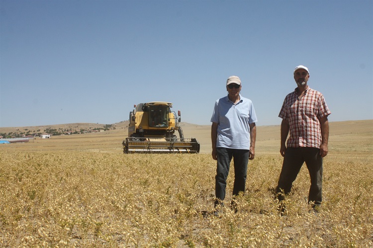 Toprak İşlemesiz Tarım Hasatları Yüz Güldürdü1