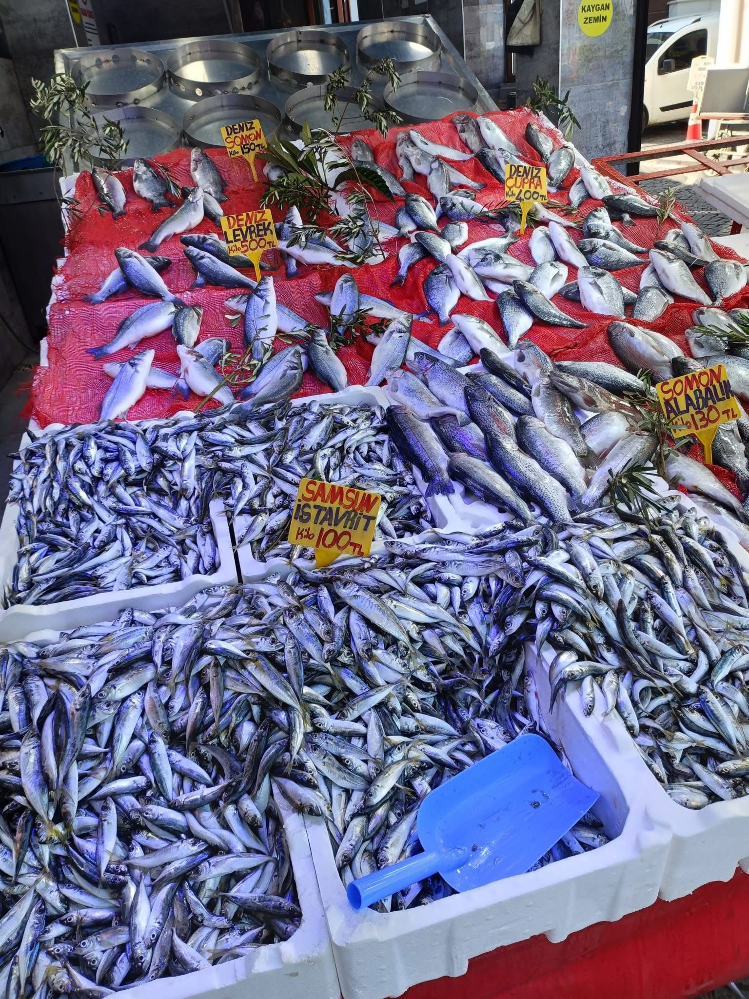 Whatsapp Image 2025 09 01 At 18.54.26