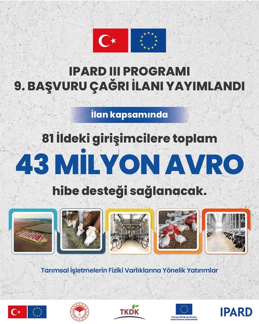 Whatsapp Image 2025 09 09 At 16.59.34