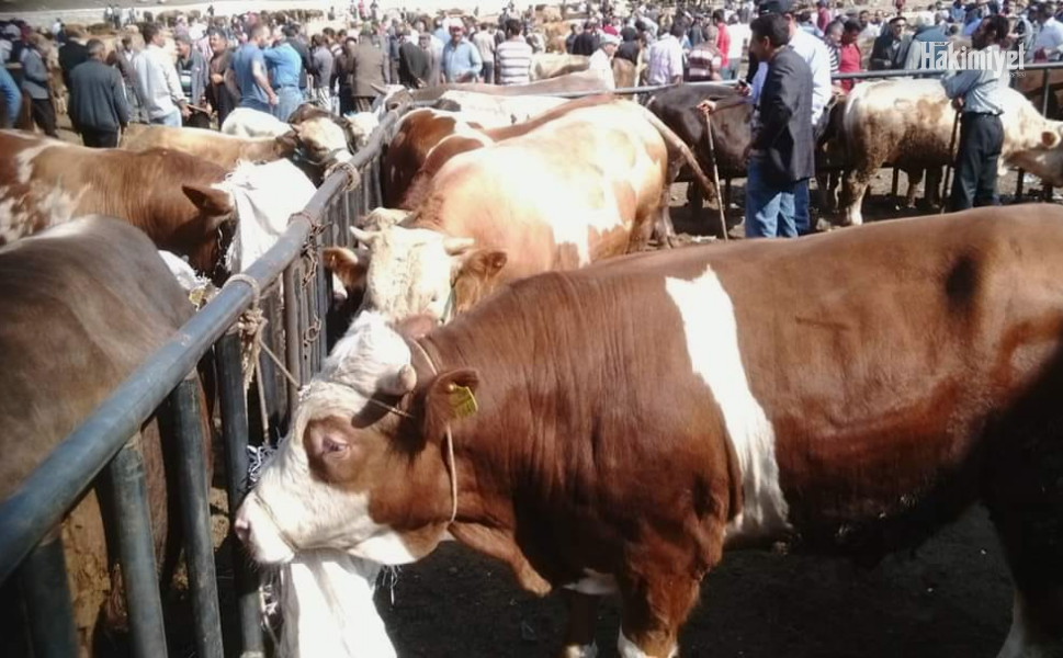 Yozgat Hakimiyet Gazetesi 2025 09 13T145324.570