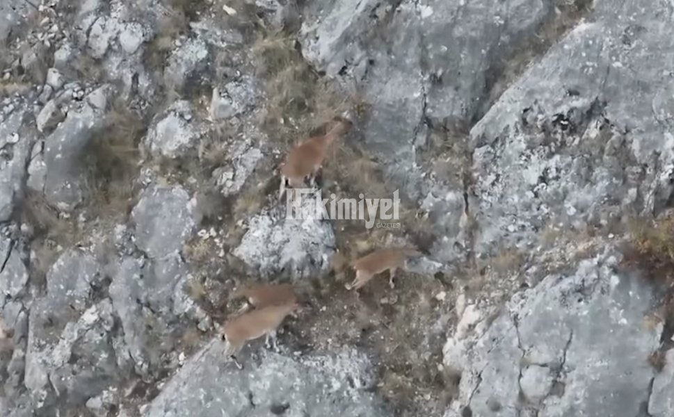 Yozgat Hakimiyet Gazetesi 2025 09 16T130759.029