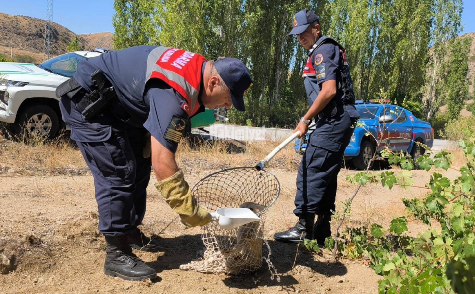 Yozgat Hakimiyet Gazetesi 2025 09 19T135925.292