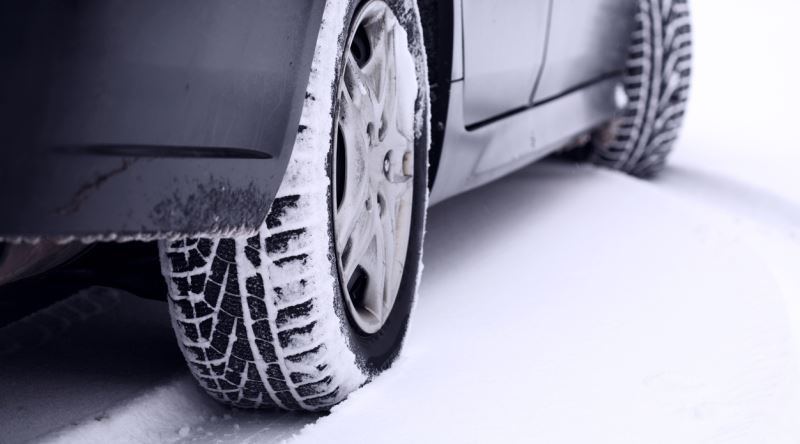 1 L D K New4Nv805 W Fv 636969724401745318