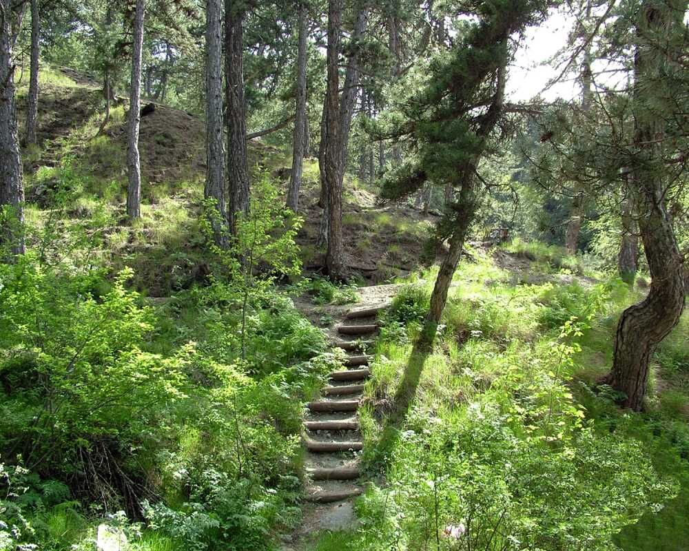 1A64Fef8 E4Fa 4712 Af5D C324C334D71D