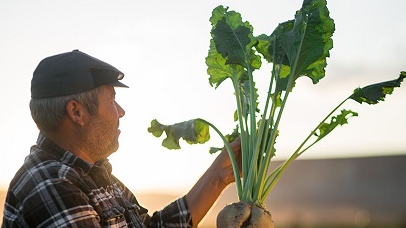 6Db1A290 Ef43 4919 89Cb 344Ac92Ff9A5