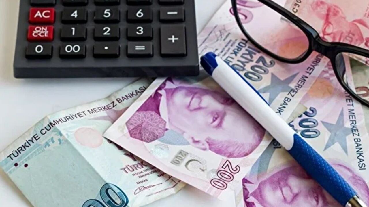 vatandaşlık maaşı nedirr