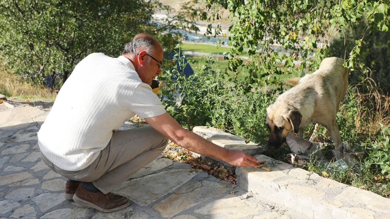 Başkan İnce Can Dostlarını Unutmadı (2)