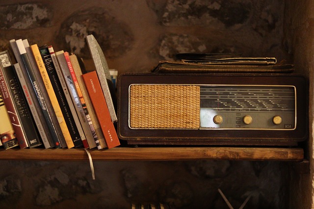 Bir Zamanlar Her Evde Bulunuyordu, Şimdi Fiyatı Altınla Yarışıyor! (3)