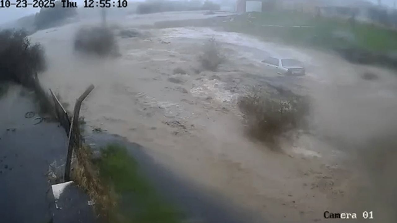 Bülent Kaptanoğlu (2)