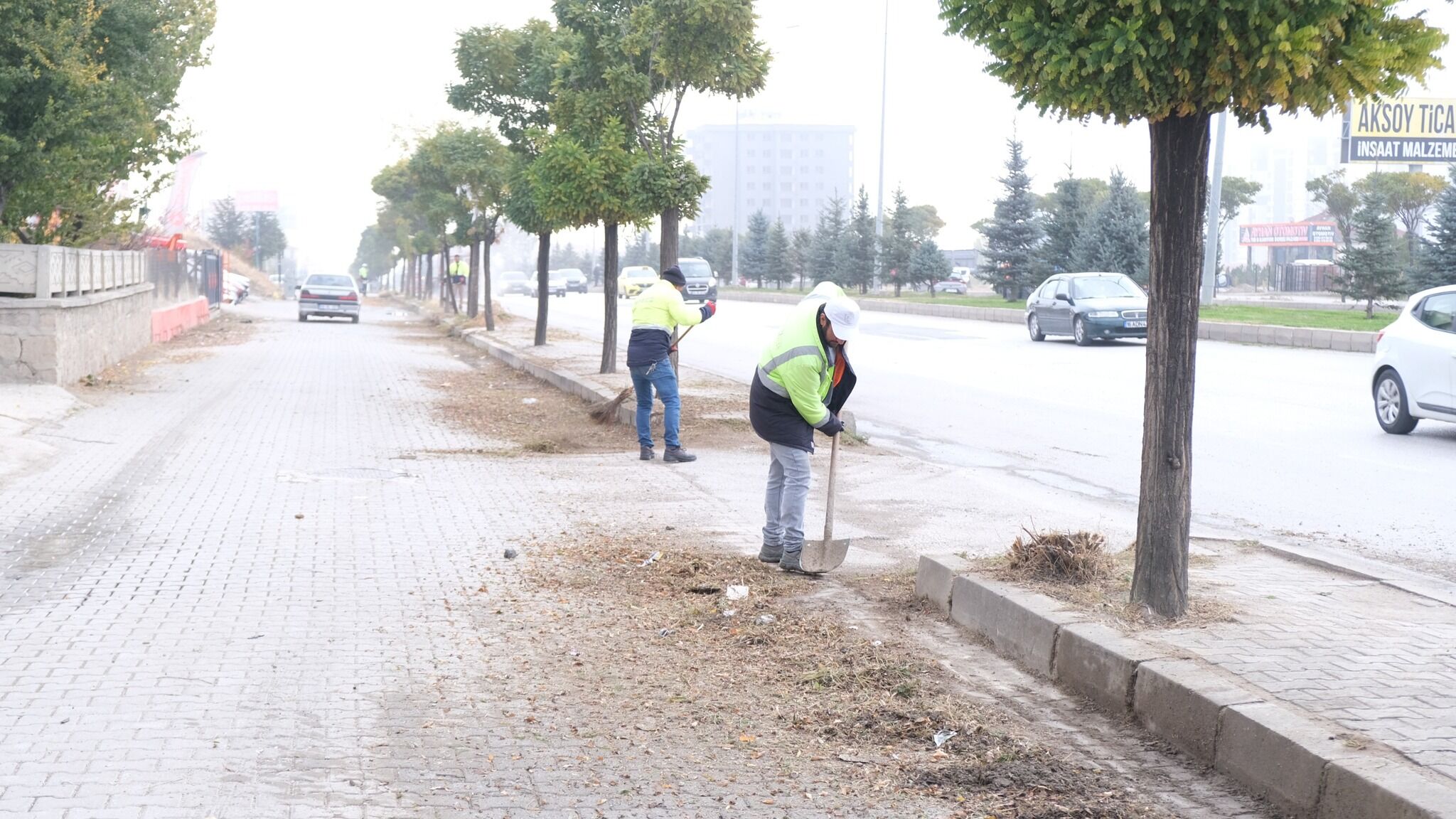 Cadde-1