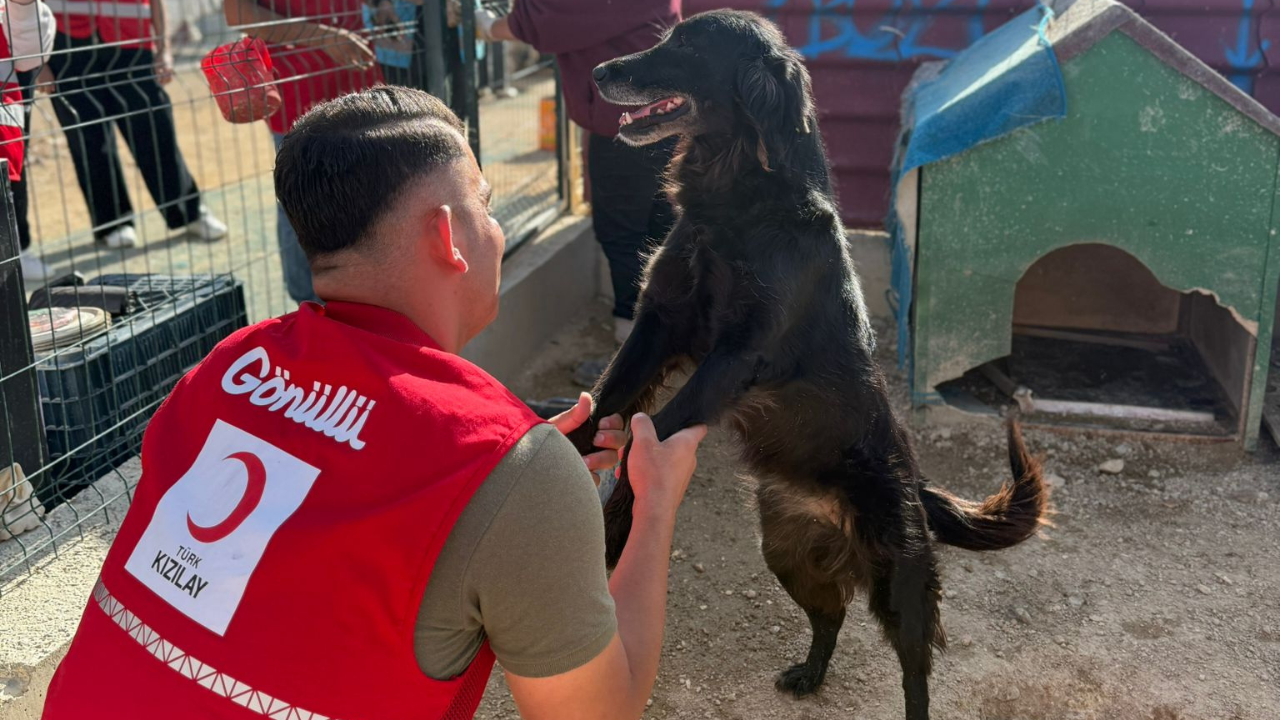 Doğa Dostu Vizyon Gençlerden İlham Veren Etkinlik (1)