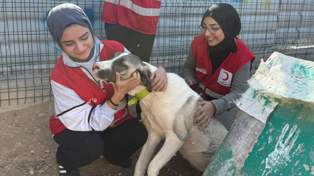 Doğa Dostu Vizyon Gençlerden İlham Veren Etkinlik (5)