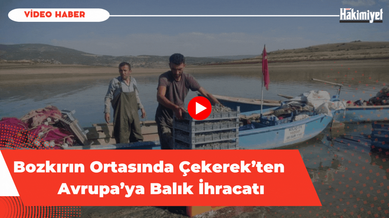 Bozkırın Ortasında Çekerek’ten Avrupa’ya Balık İhracatı