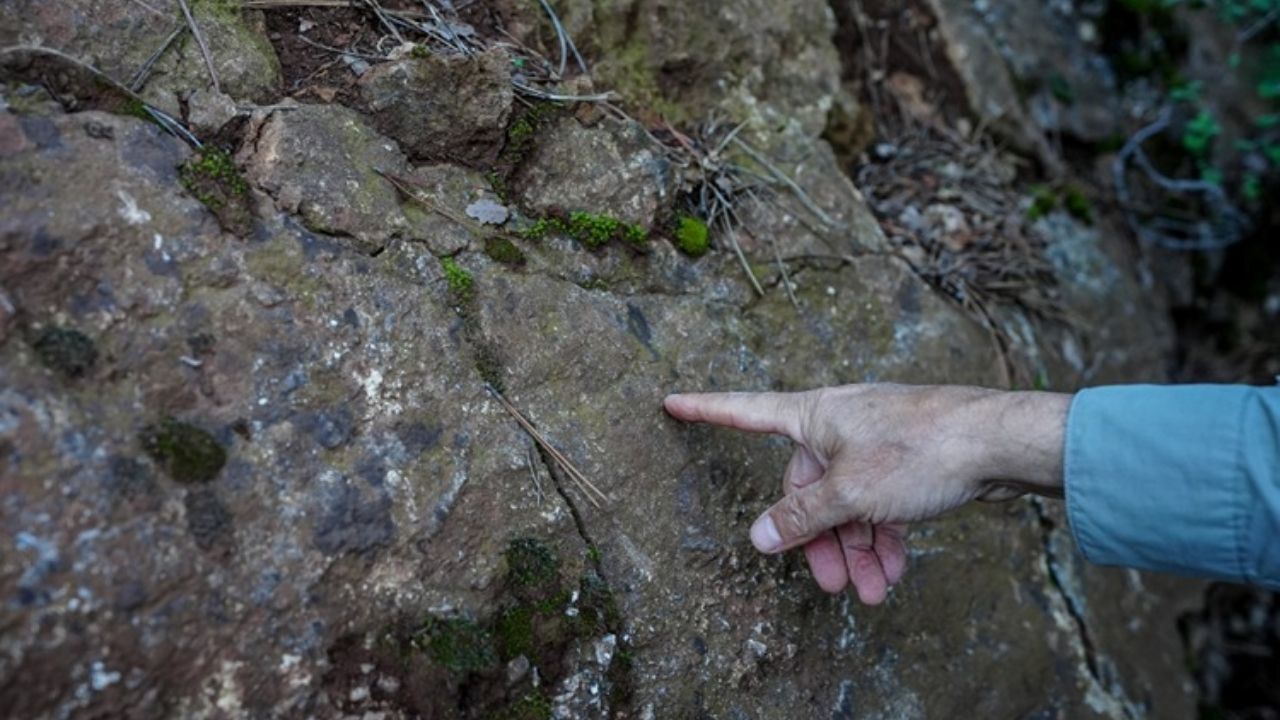 Ölü Faylar Dirildi (2)