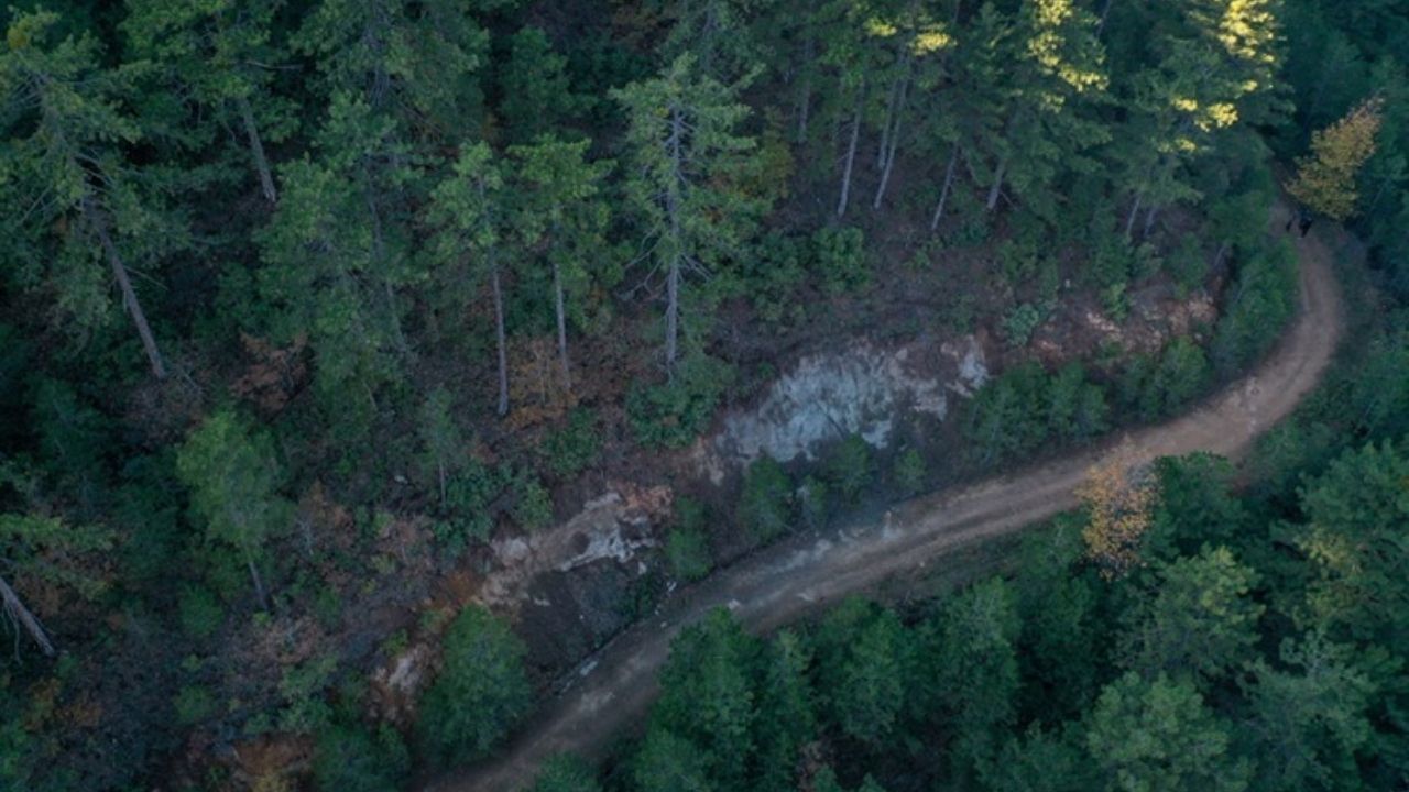 Ölü Faylar Dirildi (4)