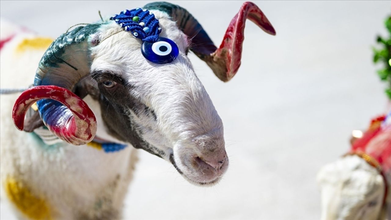 Ramazan Ve Kurban Bayramı Ne Zaman (2)