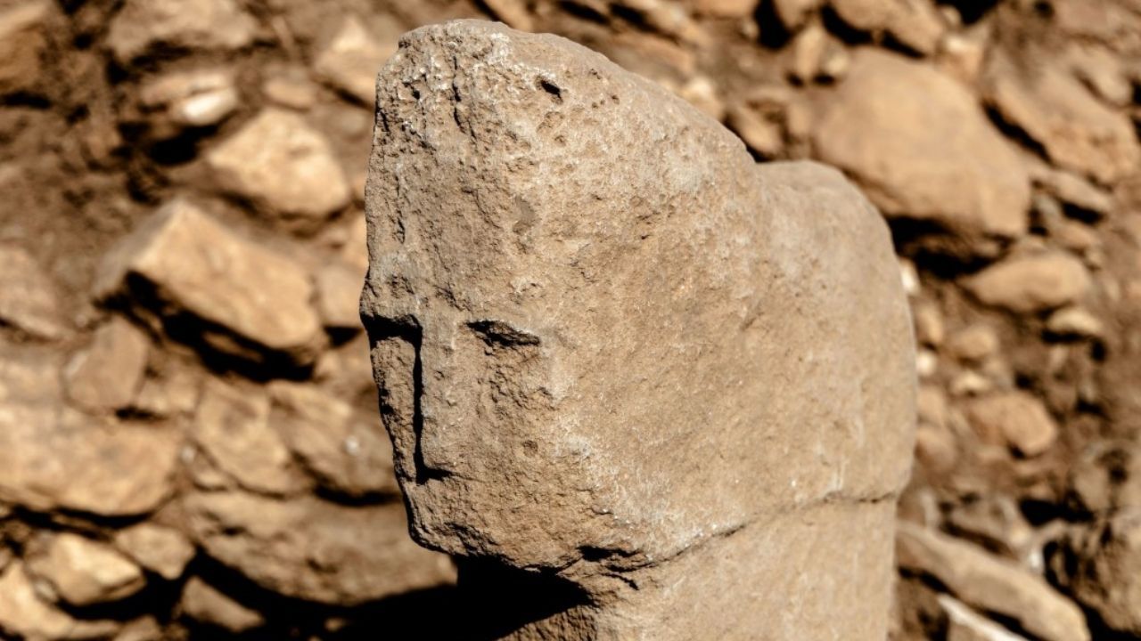 T Biçimli Insan Yüzü (2)