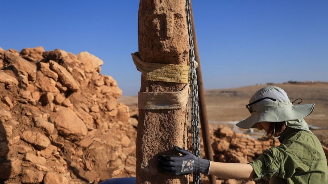 T Biçimli Insan Yüzü (3)