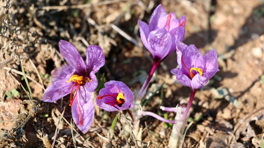 Thumbs B C 2F30114883Fad2D0599B723084F94Ab4