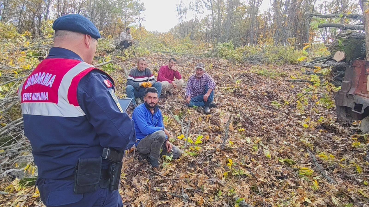 Yaban Hayatı İçin Harekete Geçildi