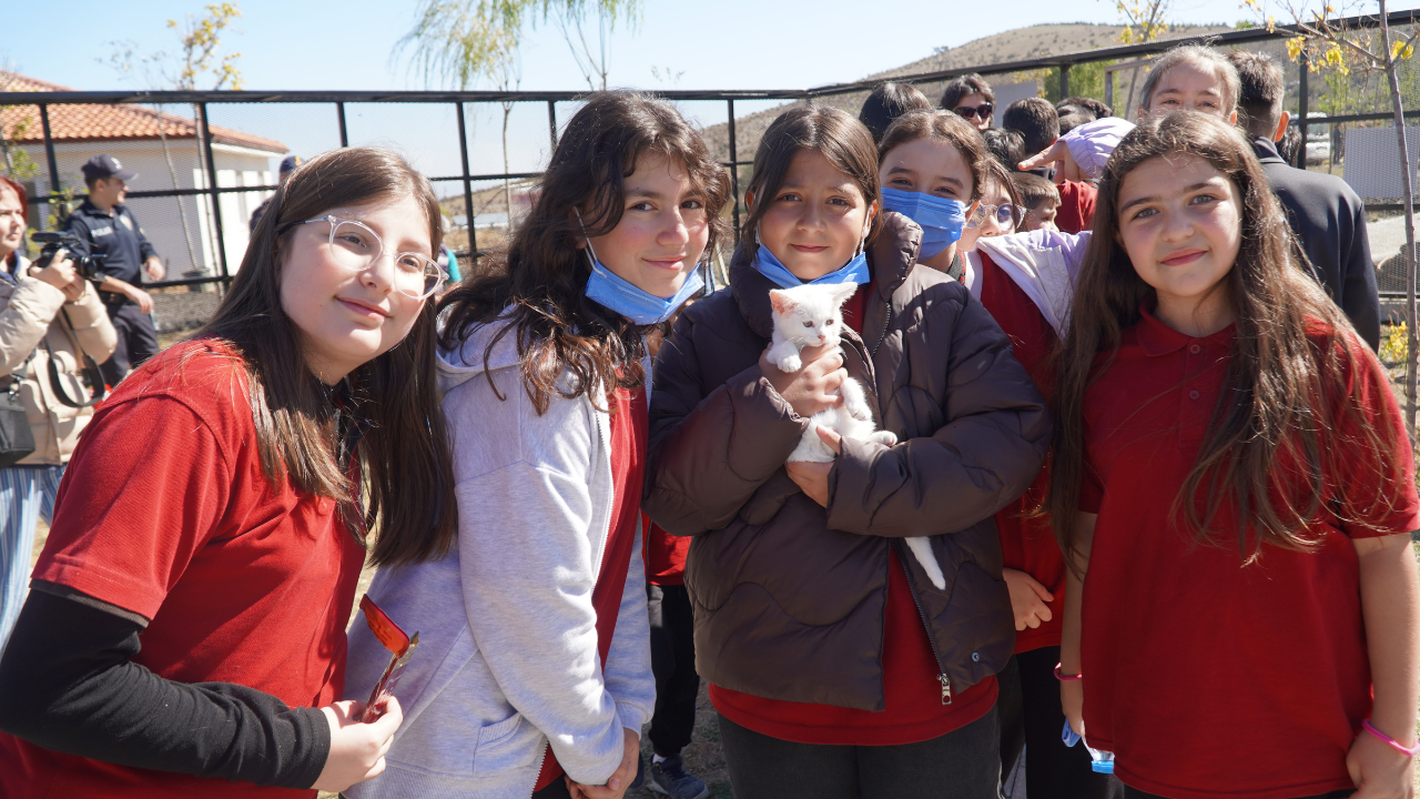 Yozgat Belediyesinden Kedi Oteli (1)-2