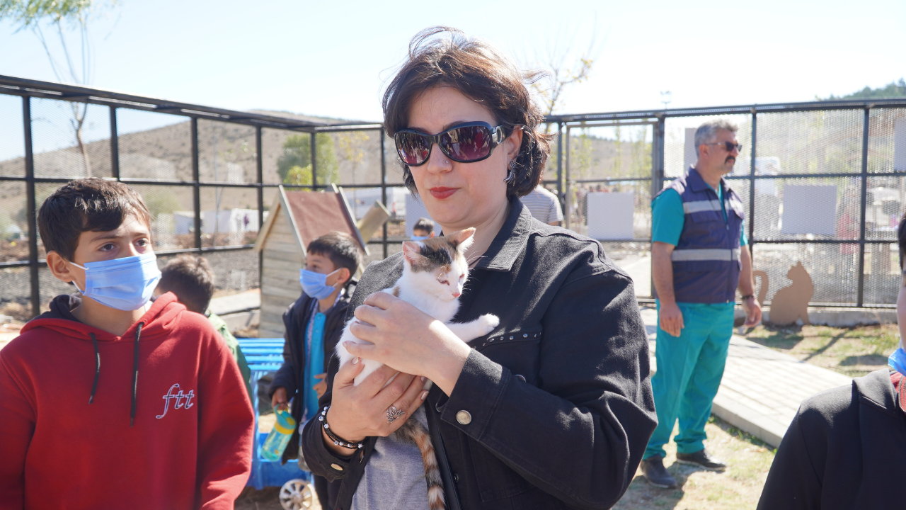 Yozgat Belediyesinden Kedi Oteli (5)