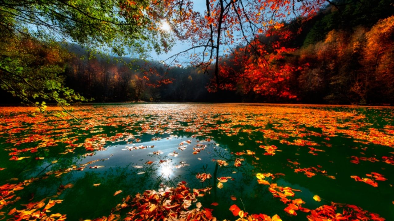 Yozgat Bolu Araı Kaç Km (9)